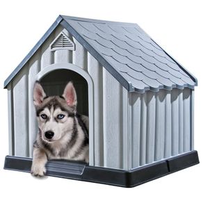 Dog House