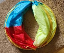 Free Fold up Kids or Pets Play Tunnell