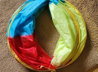 Free Fold up Kids or Pets Play Tunnell