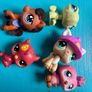 little Pet shop Image 2