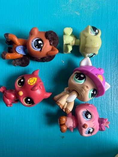 little Pet shop
