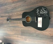 Fender Dg5blk