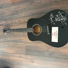 Fender Dg5blk