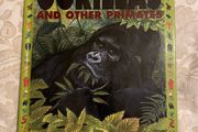 Gorillas and Other Primates