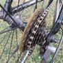 Giant Rapid Road Bike Image 2