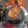 orange orchids in mirror glass vase Image 2