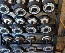 Dumbbells and rack