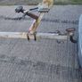 boat trailer Image 3