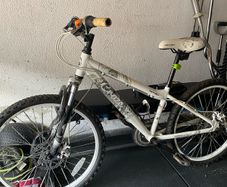 Kids mountain bike Apollo craze