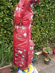 Golf bag