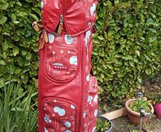 Golf bag
