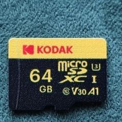 64 GB Micro SD Card