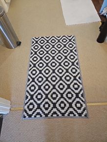 outdoor rug