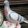 Vintage Jema Holland Pair of Pigeons Mantle Clock Figurines No 428 (works well) Image 4
