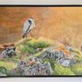 Morning Sun at Clogherhead | oil painting | Framed Image 5