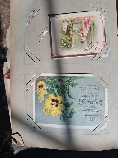 Mega Art Nouveau Postcard Album (197 Pieces)