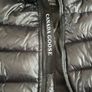 Canada goose medium Image 5
