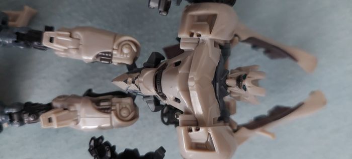 Transformer  / toy