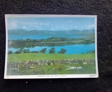 1950s/1960s Postcard: Kenmare River (postage included)