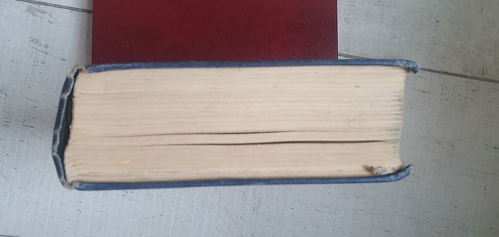 Vintage Book: The House Under the Water by Francis Brett Young 1932
