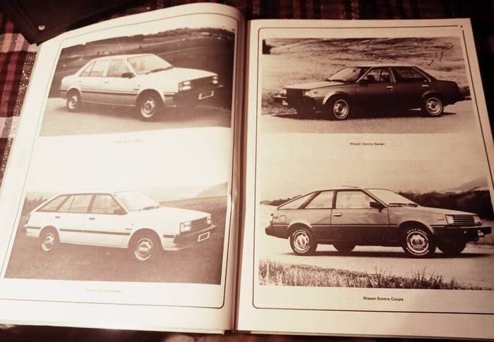 Haynes Nissan/Datsun Sunny Owner Workshop Manual.