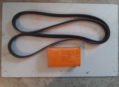 Ford Focas / Cougar Engine Ribbed Belt.