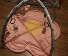 Baby Play Mat
