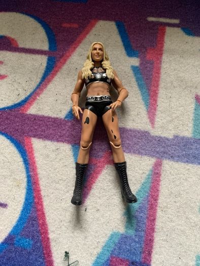 WWE action figures