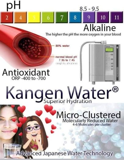 Kangen Water machine