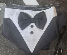 Dog Harness Tuxedo