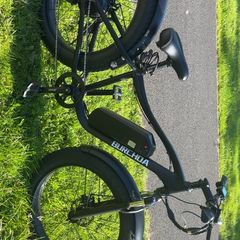 electric bike (swaps accepted)