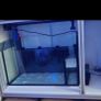 480L fish tank. Image 5