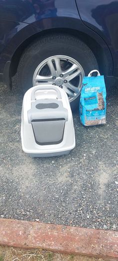 cat litter tray