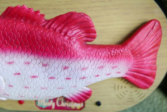 Rock King Tommy the xmas singing fish