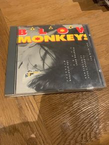 The Blow Monkeys / Out With Her