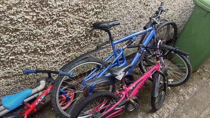 3 Bikes Bicycles All For The Price
