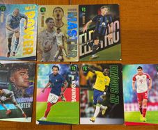 Panini Top Class