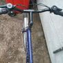 Bike Image 5