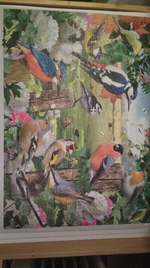 Country Birds jigsaw puzzle 1000 pcs