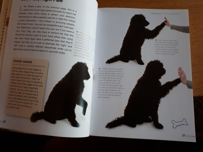 Book: Tricks and games to teach your dog