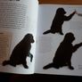 Book: Tricks and games to teach your dog Image 3