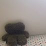 teddy Image 3