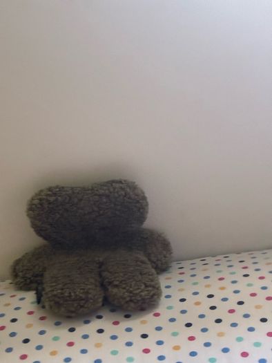 teddy