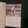 The Life of Birds by Sir David Attenborough (Hardcover, 1998) Image 5