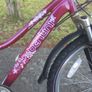 Girl's Bicycle and Accessories Image 3