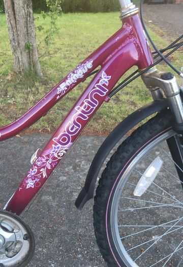 Girl's Bicycle and Accessories