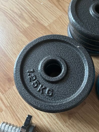 2x 9kg cast iron dumbbells