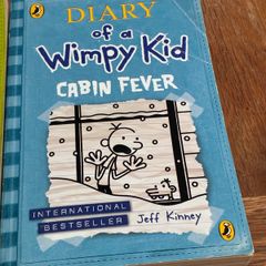 Dairy of a wimpy kid books