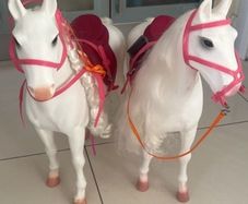 Two Our Generation Horses