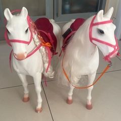 Two Our Generation Horses